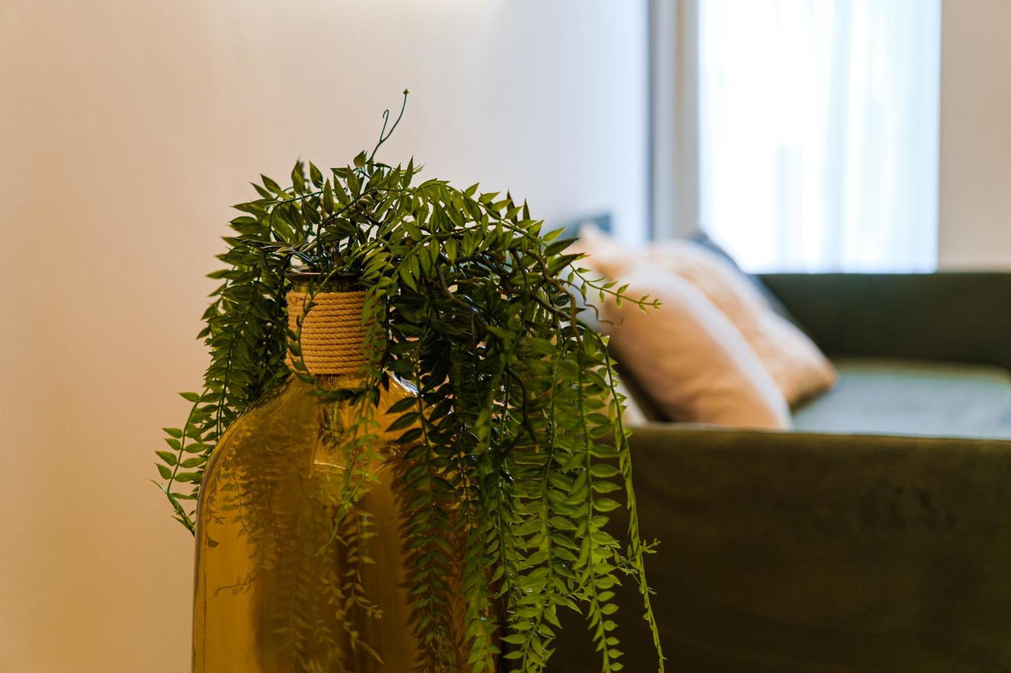 Helloapulia Charming Palazzo Clemente - Self-Catering Suites With Aircondition โมโนโปลี ภายนอก รูปภาพ